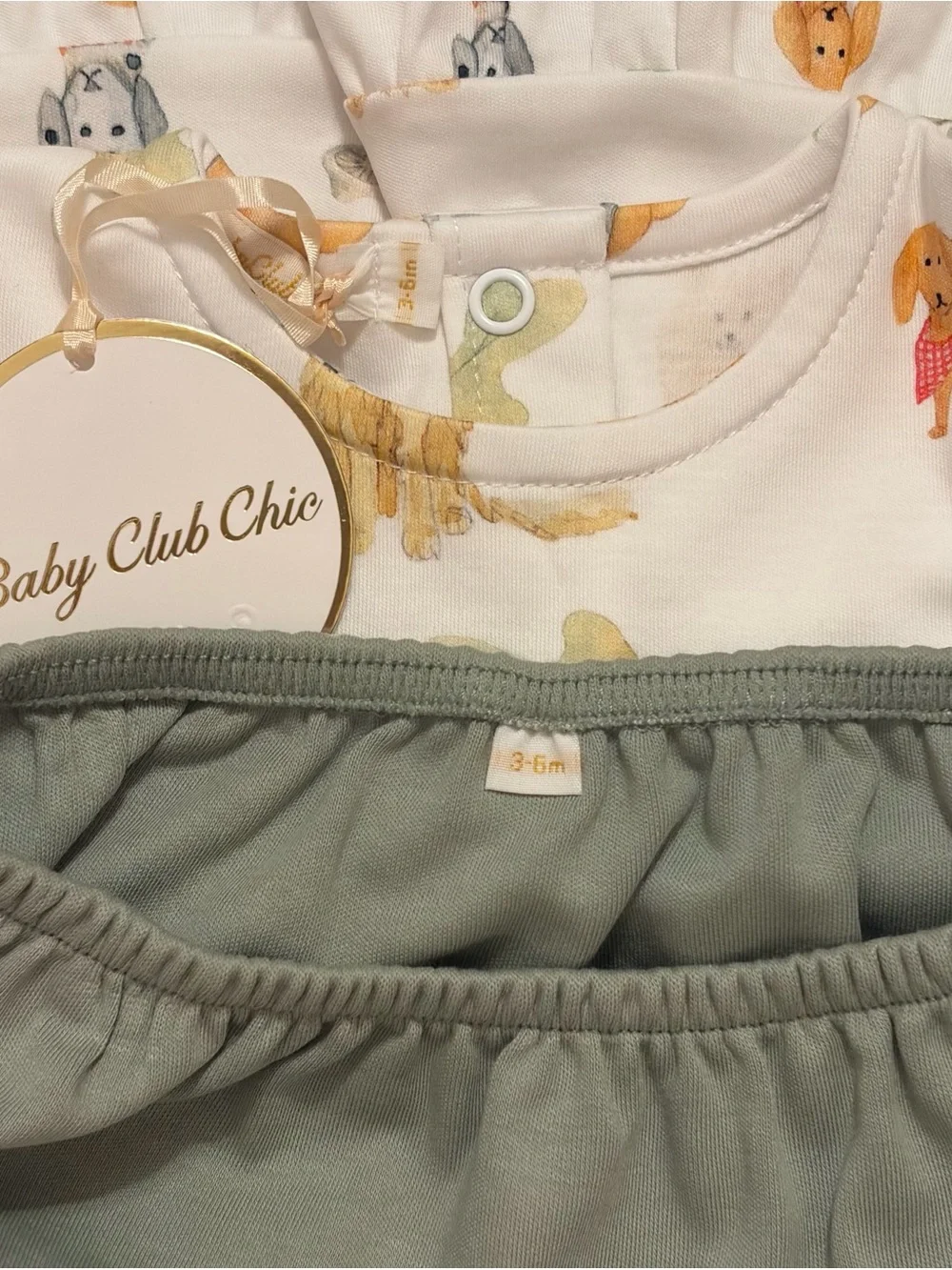 NWT Baby Club Chic 2Pc Fall Puppies & Pumpkins Bloomer Set Size 3-6 Months